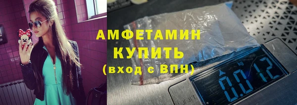 крисы Ростов