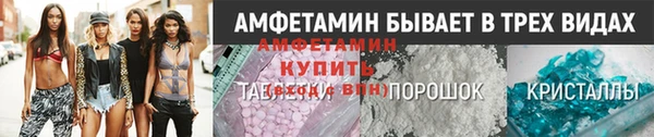 крисы Ростов