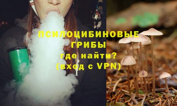 крисы Ростов