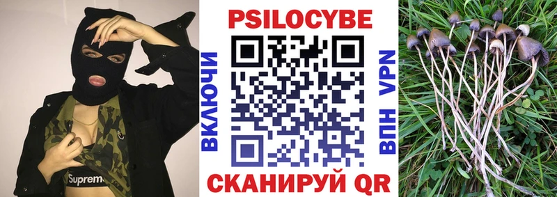 Галлюциногенные грибы мицелий  Купить где  Лосино-Петровский 